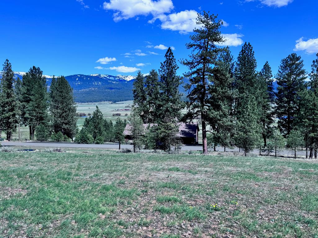 Lot 19 Hot Springs Road, Unit 19 New Meadows, ID 83654 - Photo 6 of 26