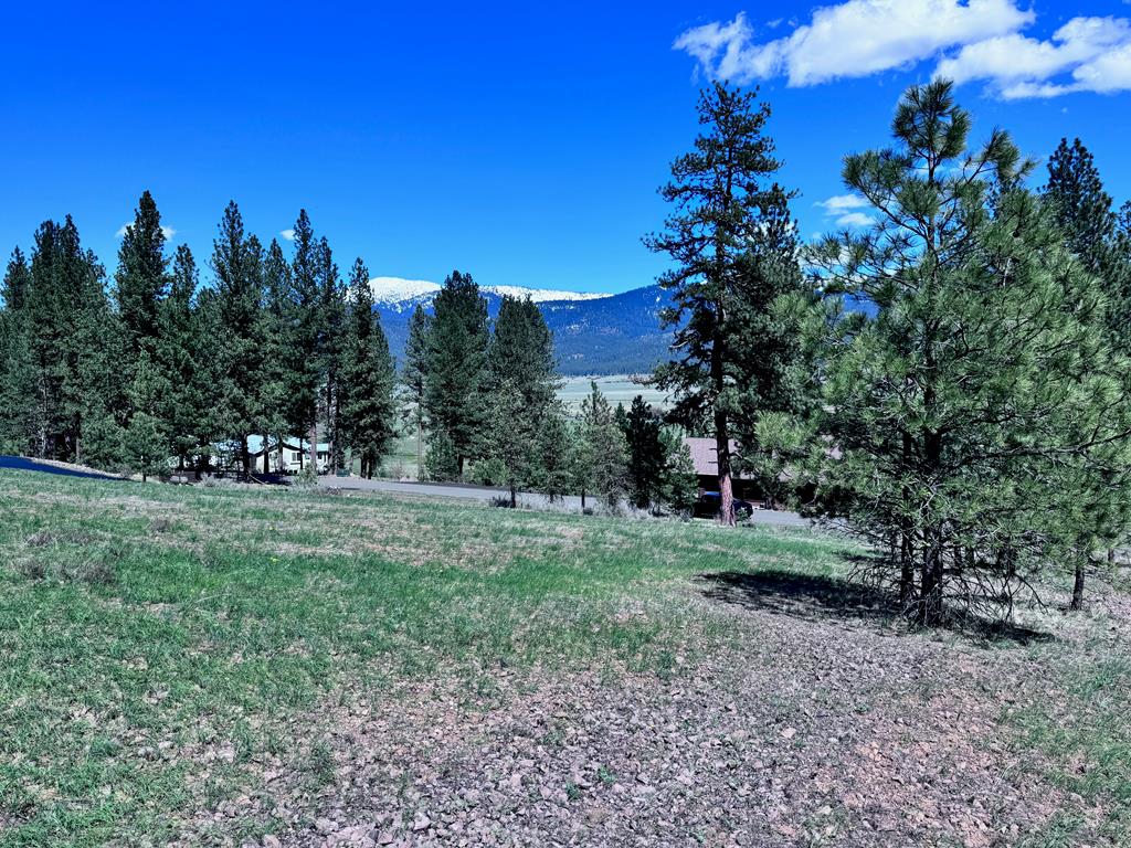Lot 19 Hot Springs Road, Unit 19 New Meadows, ID 83654 - Photo 7 of 26