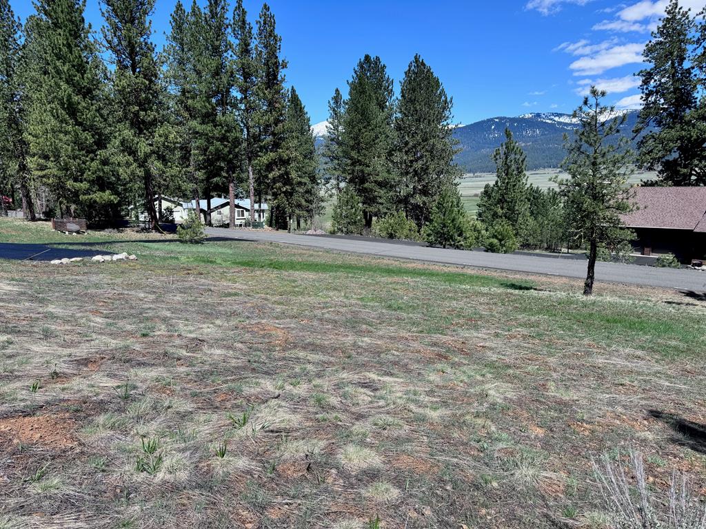 Lot 19 Hot Springs Road, Unit 19 New Meadows, ID 83654 - Photo 8 of 26