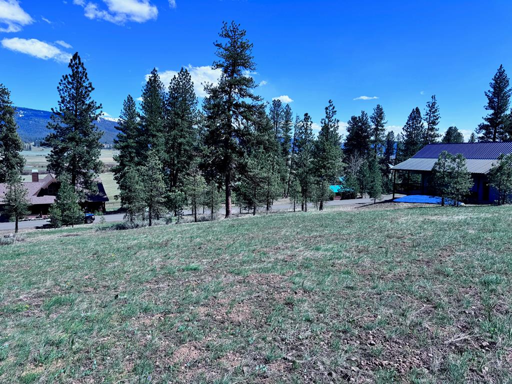 Lot 19 Hot Springs Road, Unit 19 New Meadows, ID 83654 - Photo 9 of 26