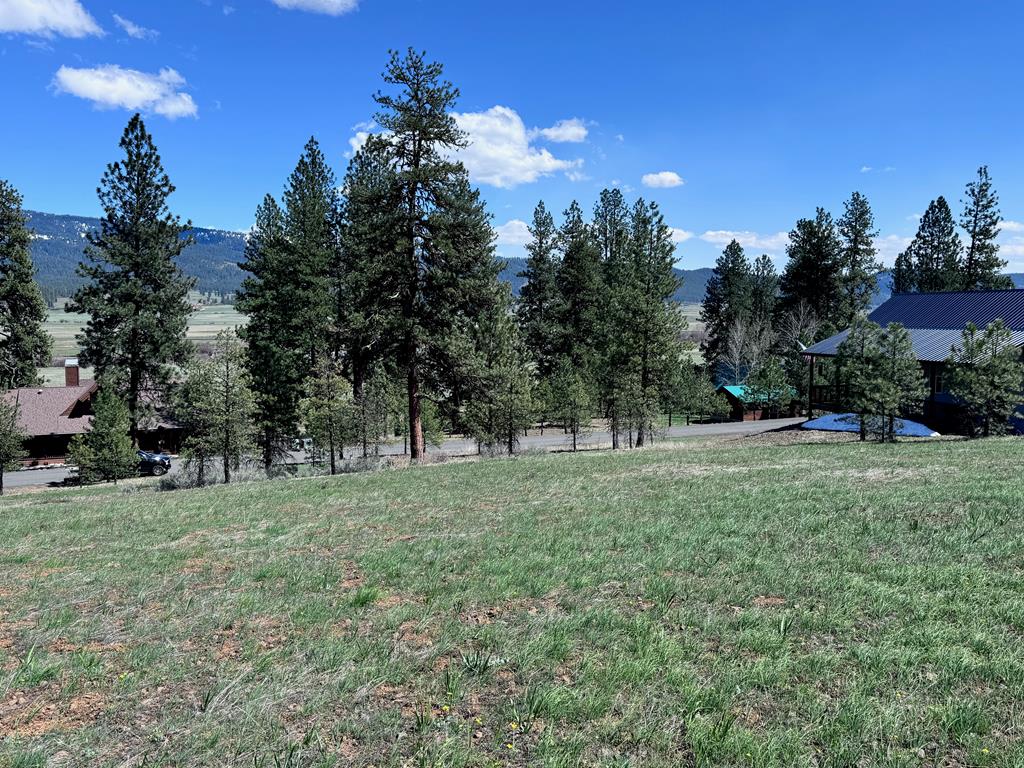 Lot 19 Hot Springs Road, Unit 19 New Meadows, ID 83654 - Photo 10 of 26
