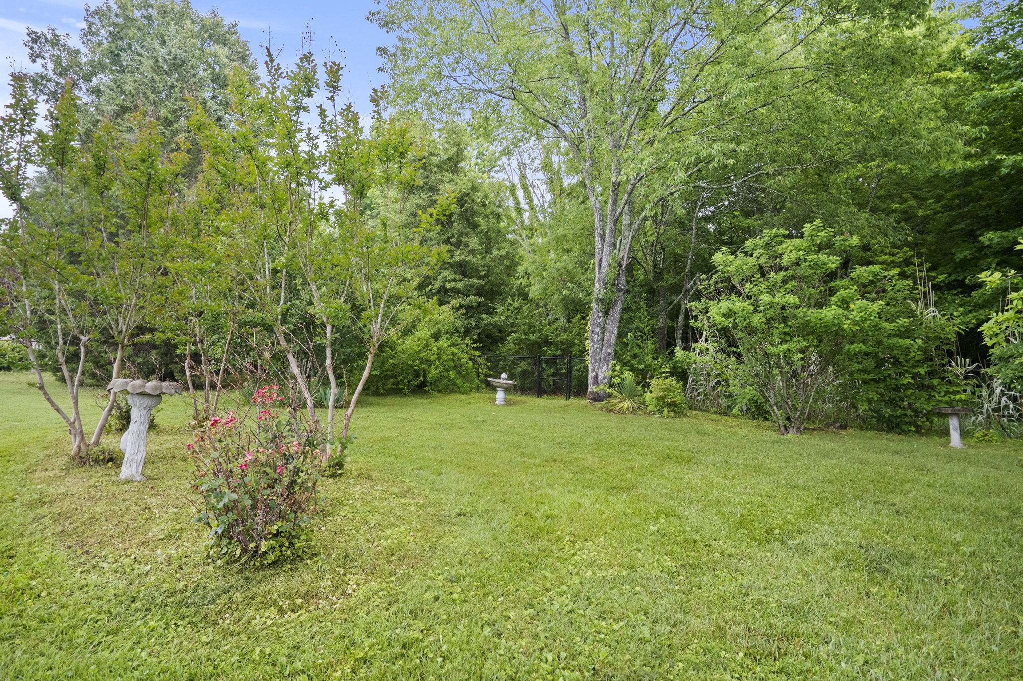 7144 Bidwell Road Joelton, TN 37080 - Photo 58 of 60 a big yard with lots of green space and trees