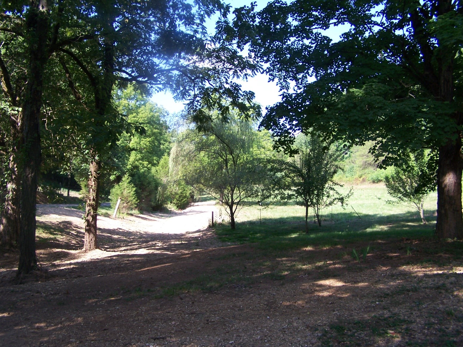 1346 Garner Hollow Road Pulaski, TN 38478 - Photo 1 of 42 a view of a yard with tree s