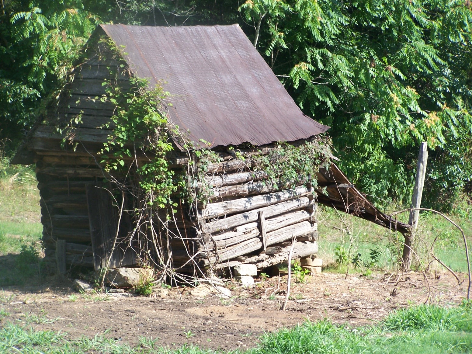 1346 Garner Hollow Road Pulaski, TN 38478 - Photo 16 of 42 a view of a backyard with plants and a yard