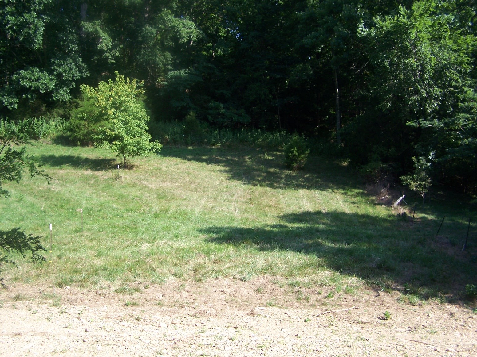 1346 Garner Hollow Road Pulaski, TN 38478 - Photo 2 of 42 a view of backyard with green space