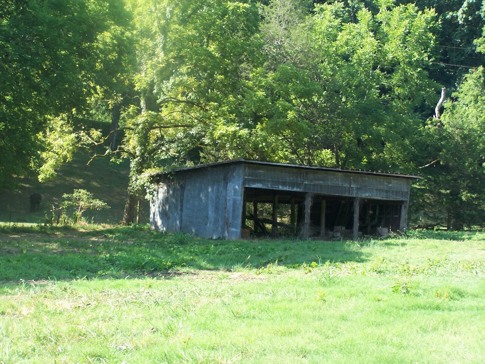 1346 Garner Hollow Road Pulaski, TN 38478 - Photo 21 of 42 a house with a tree in front of it