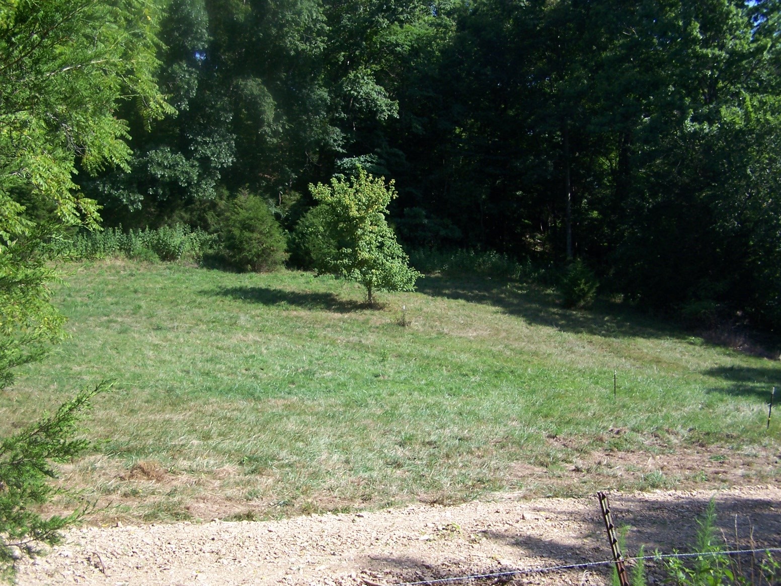 1346 Garner Hollow Road Pulaski, TN 38478 - Photo 3 of 42 a view of a yard with plants and large trees