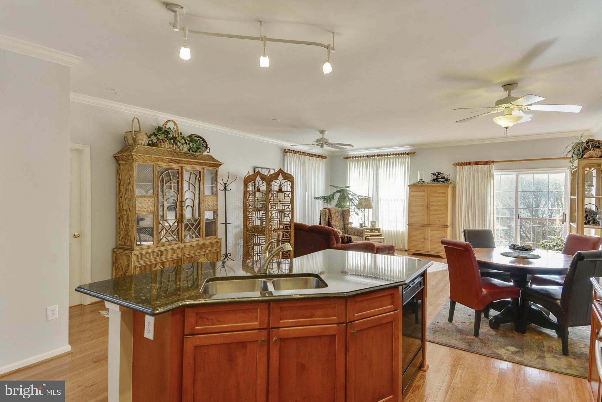 18207 Coachmans Road Germantown, MD 20874 - Photo 8 of 26 Kitchen