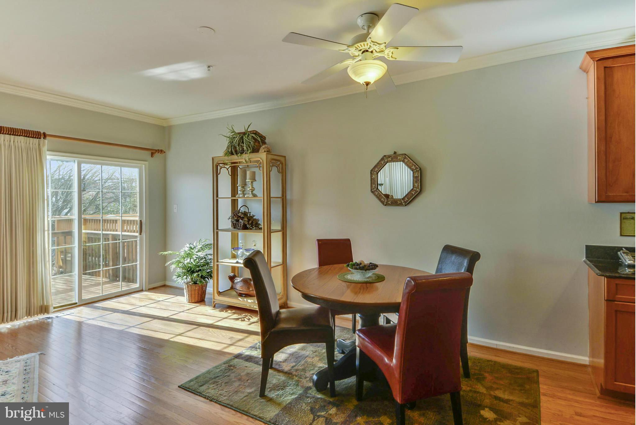 18207 Coachmans Road Germantown, MD 20874 - Photo 9 of 26 Interior (General)