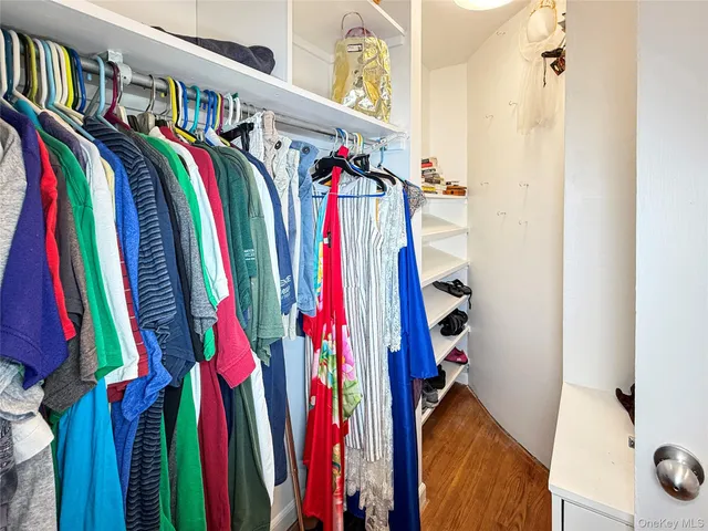 a view of walk in closet with clothes and shoes