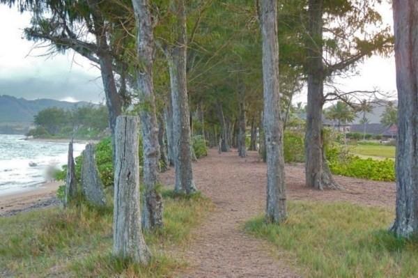 525 Aleka Loop, Unit G5 Kapaa, HI 96746 - Photo 24 of 26 a view of a yard with a tree