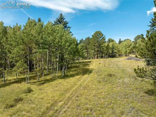 $1,050,000 | 284 County Road 511, Divide, CO 80814