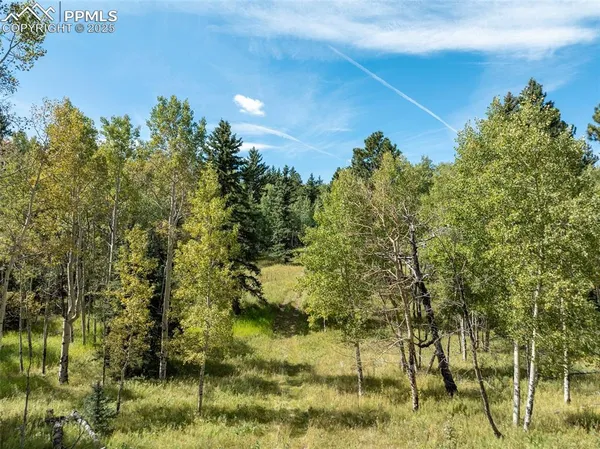 $1,050,000 | 284 County Road 511, Divide, CO 80814