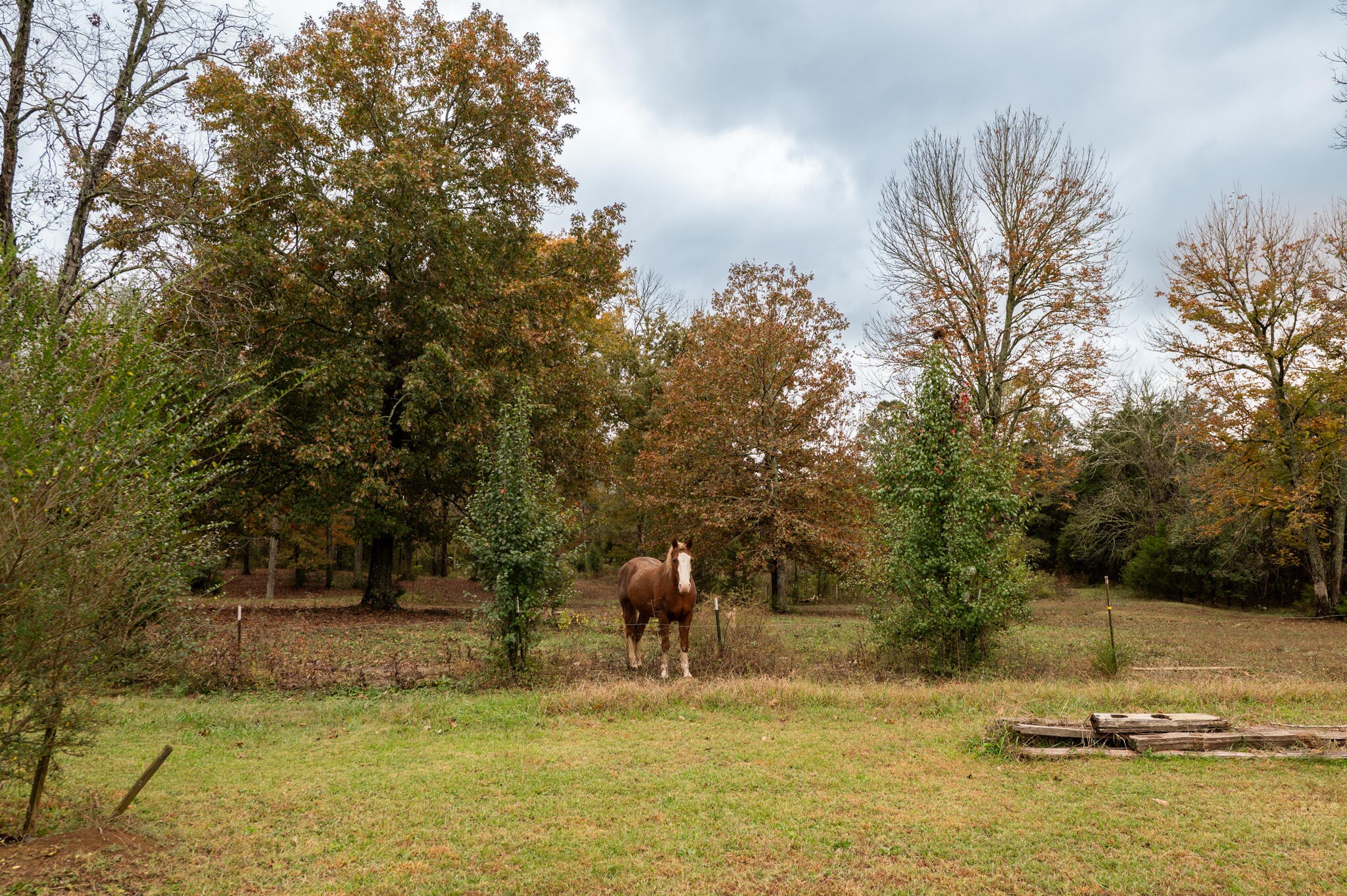 253 Halls Mill Road Chickamauga, GA 30707 - Photo 17 of 21 Gallery Image 17