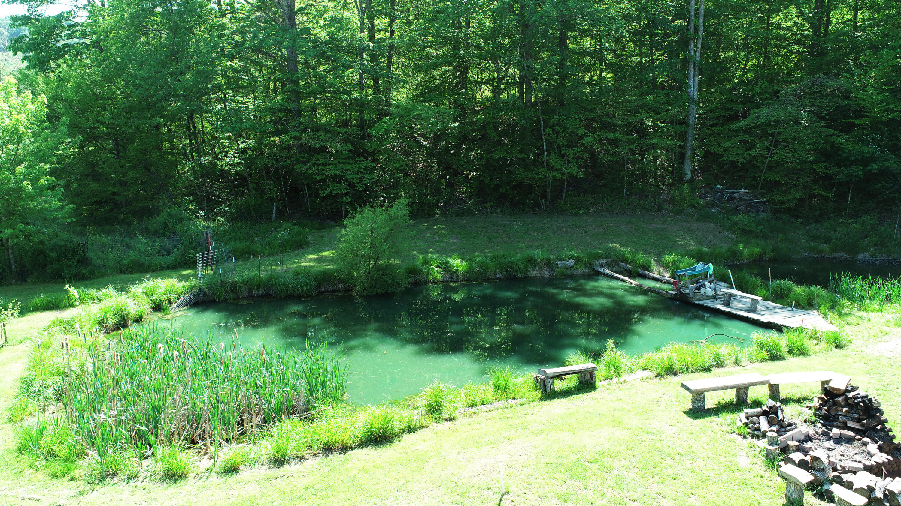 3425 Fitchburg Road Ravenna, KY 40472 - Photo 10 of 76 Spring fed pond!