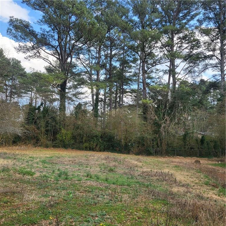 592 Allgood Road Stone Mountain, GA 30083 - Photo 12 of 14 a view of a backyard