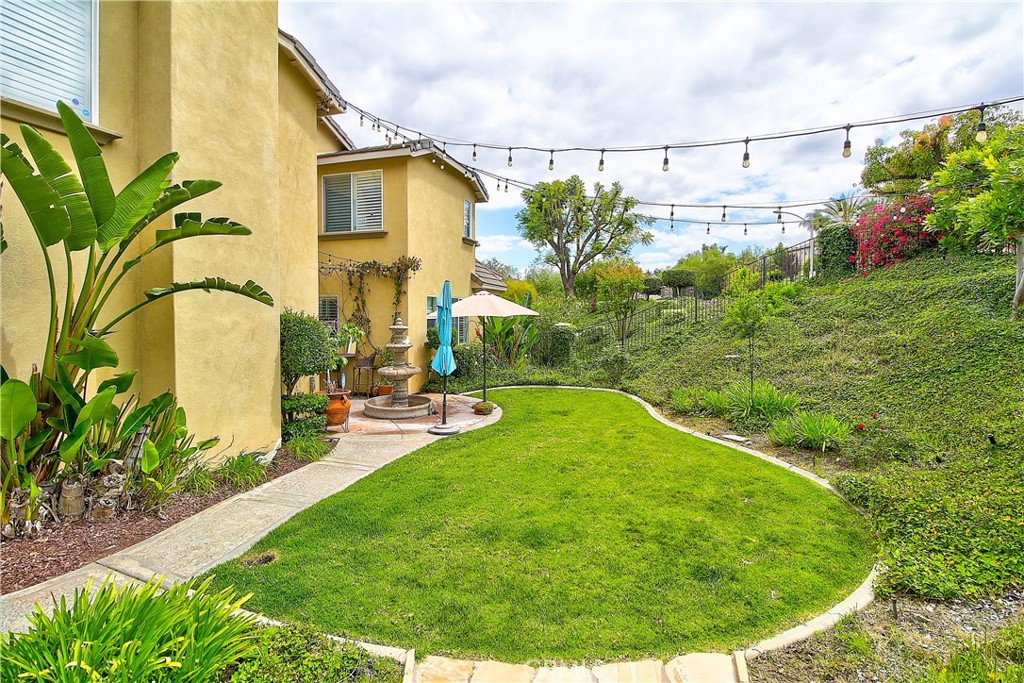 14182 Crystal View Terrace Riverside, CA 92508 - Photo 72 of 74 a view of a backyard with plants and barbeque grill