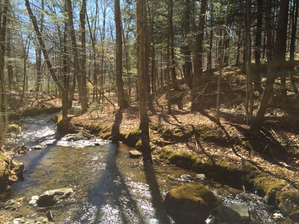 0 Gault Road Wardsboro, VT 05355 - Photo 1 of 5
