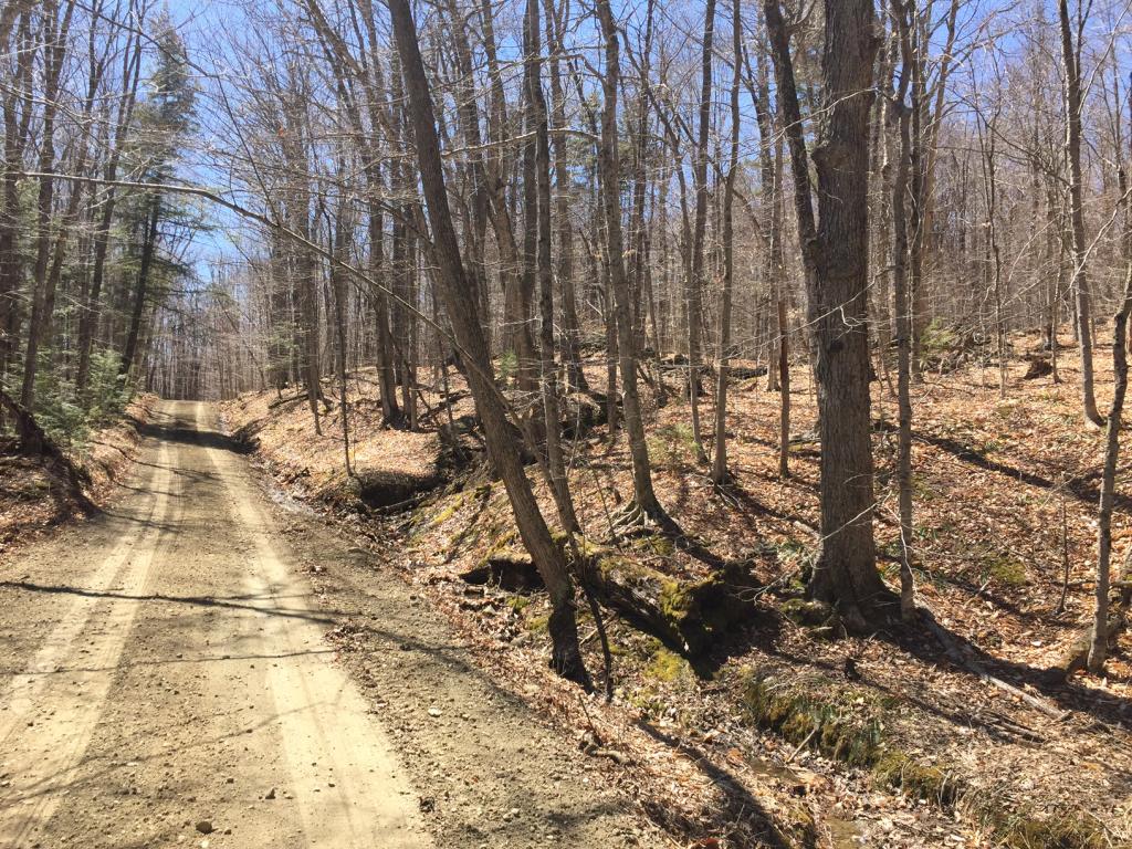 0 Gault Road Wardsboro, VT 05355 - Photo 5 of 5