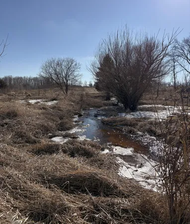 $89,000 | Tbd 7.99-ac Tbd 7.99-ac 160th Avenue, Foreston, MN 56330