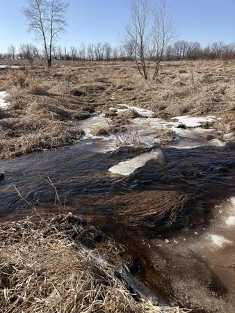 $89,000 | Tbd 7.99-ac Tbd 7.99-ac 160th Avenue, Foreston, MN 56330