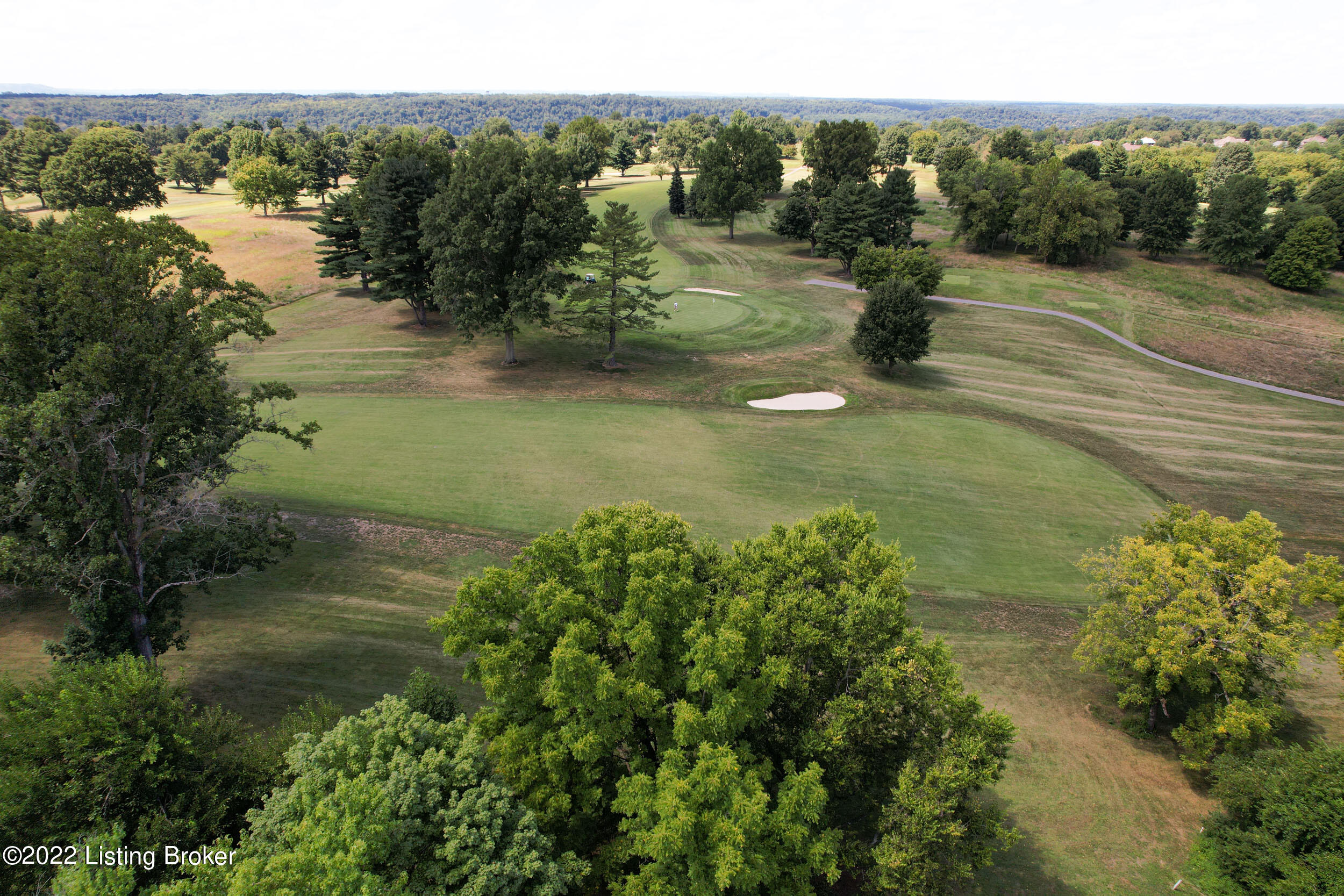 1003 Devon Road Goshen, KY 40026 - Photo 57 of 77 DJI_0691