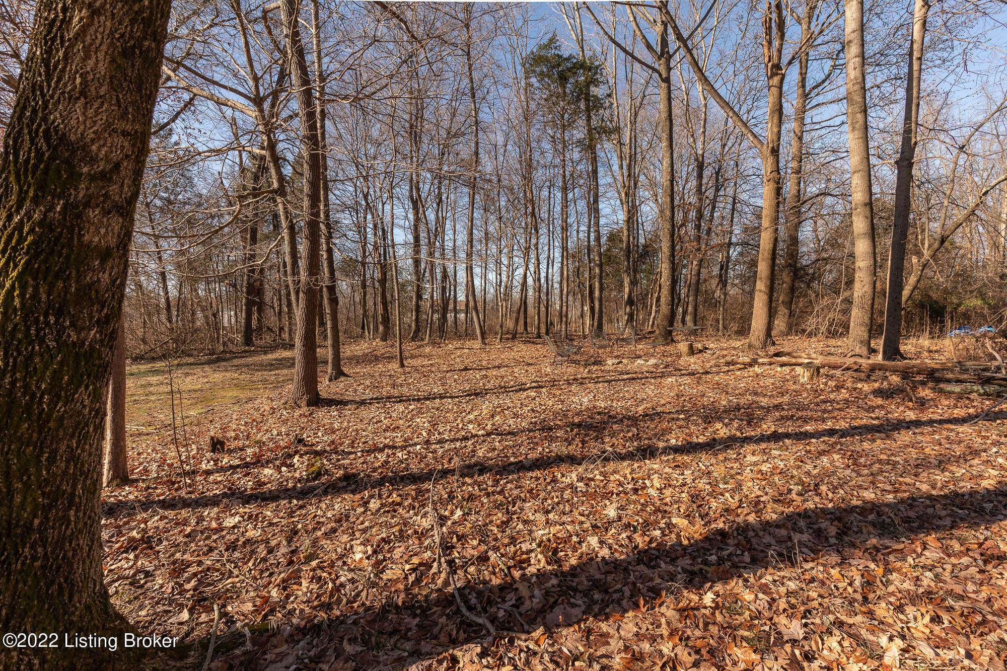 6205 Cooper Chapel Road Louisville, KY 40229 - Photo 44 of 47 Wooded View