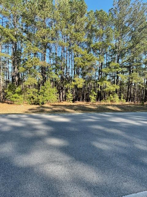 Tbd M W Rickenbaker Road Summerton, SC 29148 - Photo 1 of 6 Gallery Image 1