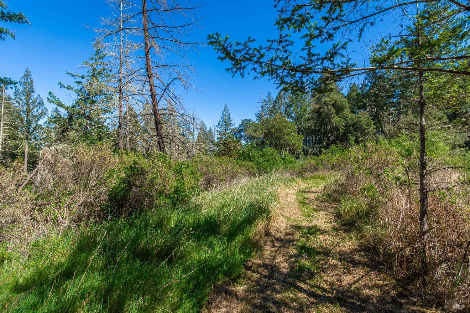 0 Dry Creek Road Napa, CA 94558 - Photo 55 of 98