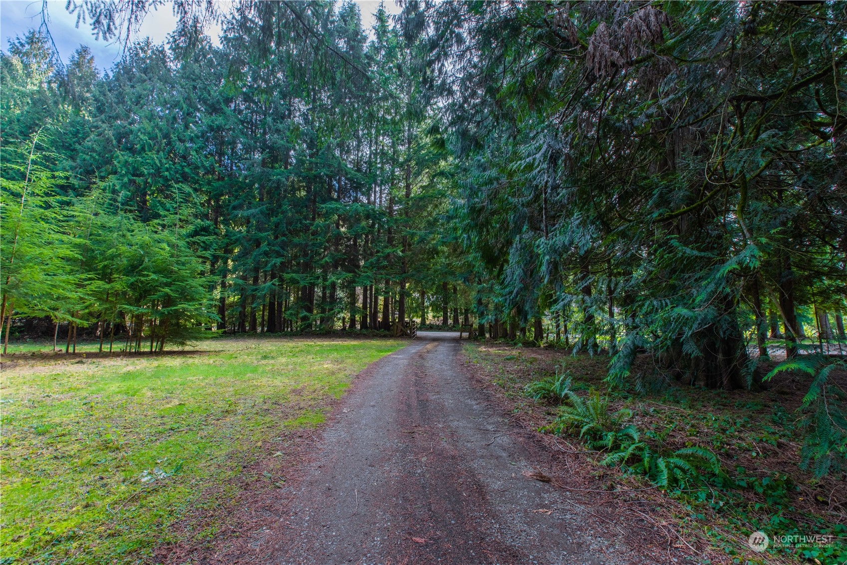 2124 Butler Creek Road Sedro-Woolley, WA 98284 - Photo 35 of 40 a view of a trees in a park