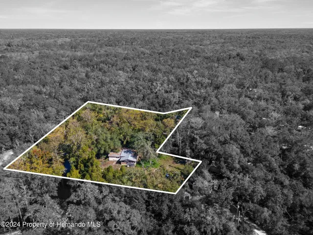 a view of a dry yard