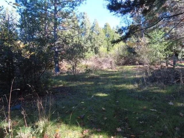 $223,600 | 6534 Kelsey Road, Placerville, CA 95667