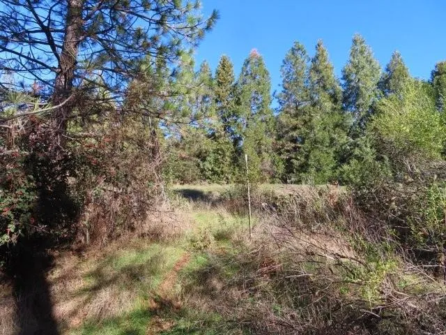 $223,600 | 6534 Kelsey Road, Placerville, CA 95667