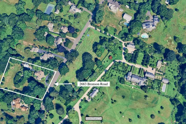 a view of a plant with lots of plants