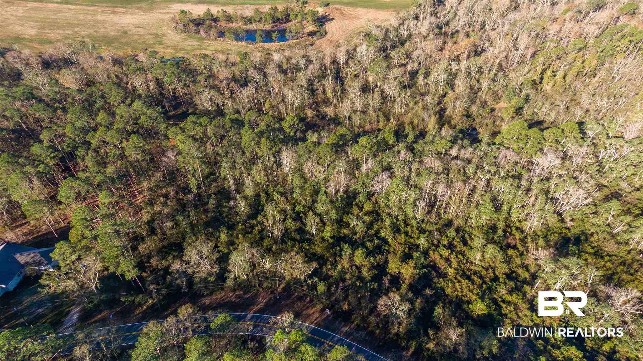 0 McPhillips Road Loxley, AL 36551 - Photo 13 of 27