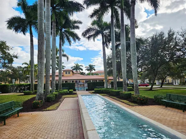 front view of a yard with palm trees