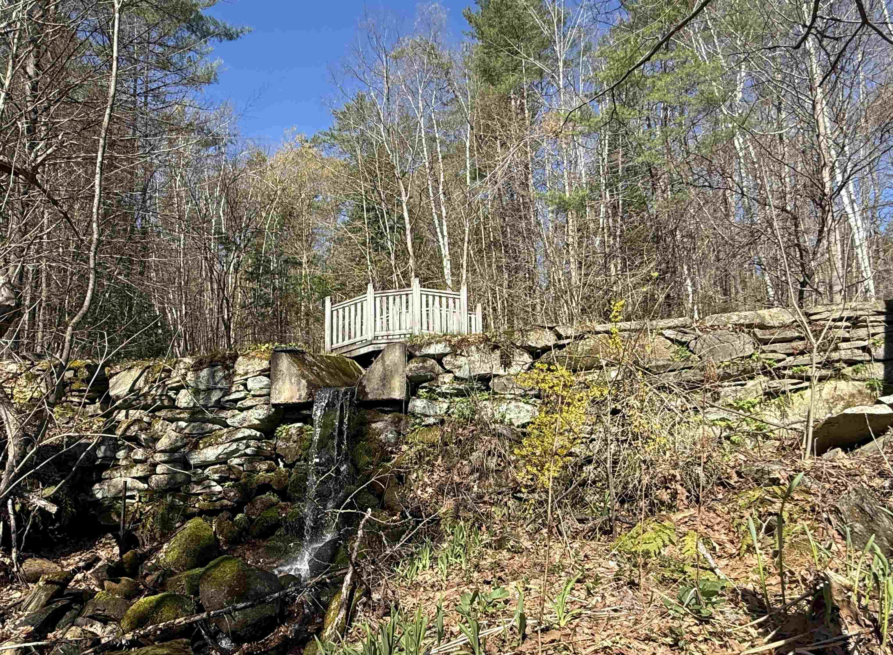 244 Densmore Road Cavendish, VT 05142 - Photo 5 of 40