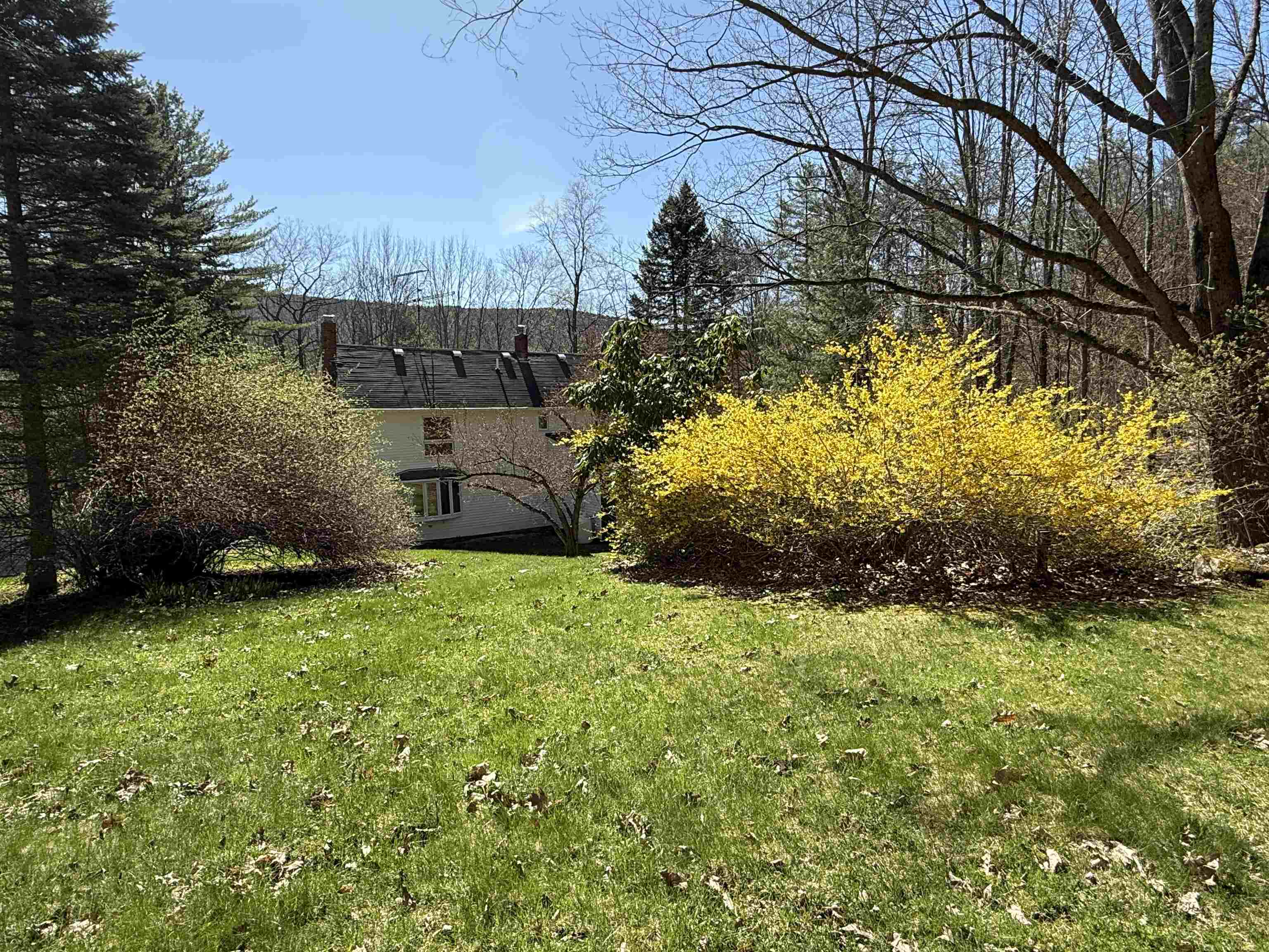 244 Densmore Road Cavendish, VT 05142 - Photo 8 of 40