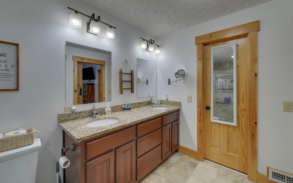 321 Call-Wright Road Ellijay, GA 30540 - Photo 19 of 92 a bathroom with a granite countertop sink a mirror and a toilet