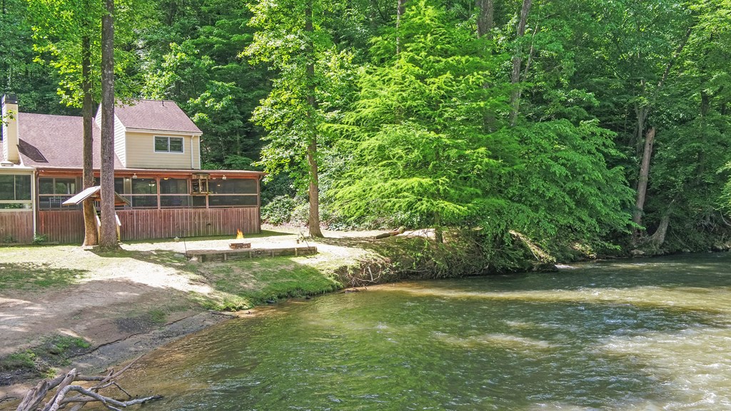 321 Call-Wright Road Ellijay, GA 30540 - Photo 43 of 92