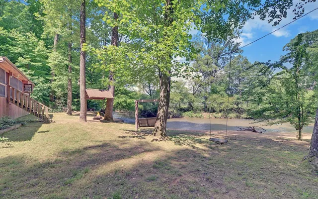 a view of a forest with a tree