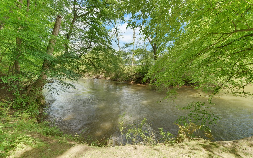 321 Call-Wright Road Ellijay, GA 30540 - Photo 48 of 92