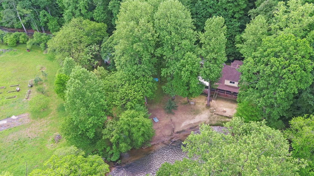 321 Call-Wright Road Ellijay, GA 30540 - Photo 90 of 92 an aerial view of residential house with outdoor space and trees all around