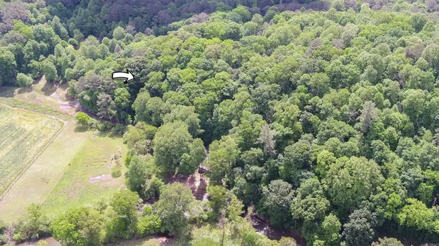 $843,777 | 321 Call-Wright Road, Ellijay, GA 30540