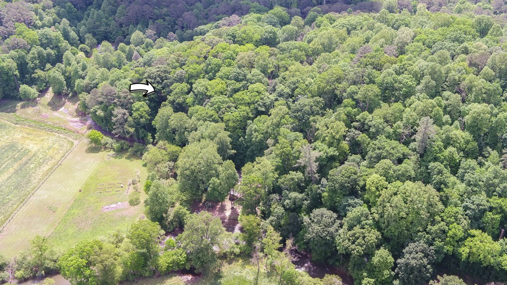 321 Call-Wright Road Ellijay, GA 30540 - Photo 91 of 92 a view of a garden with a tree
