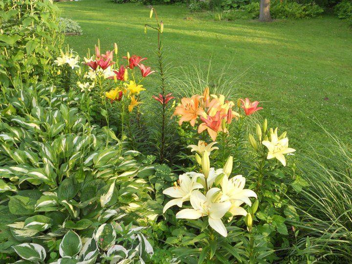 441 Russell Road Albany, NY 12203 - Photo 24 of 25 Photo 24