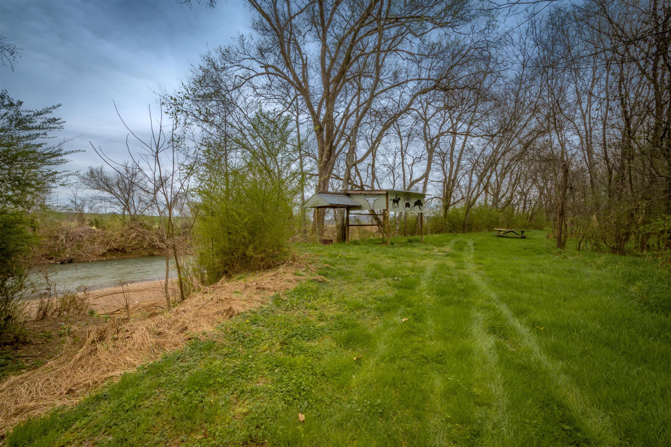 601 Vinta Mill Road West Prospect, TN 38477 - Photo 22 of 30 a backyard of a house with large trees and a bench