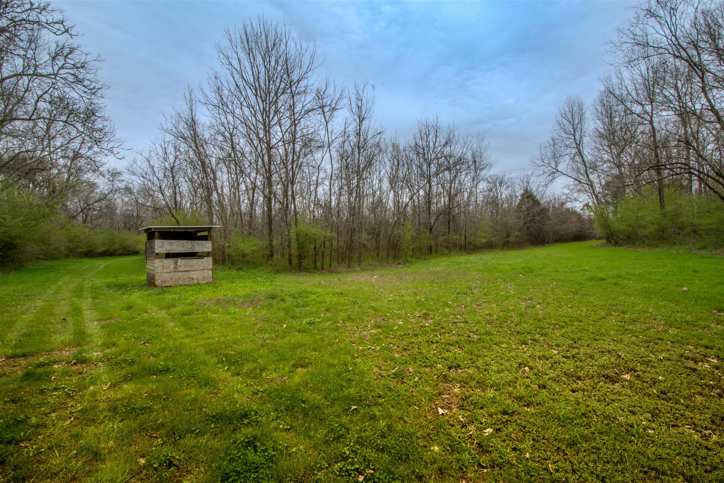 601 Vinta Mill Road West Prospect, TN 38477 - Photo 23 of 30 a backyard of a house with lots of green space