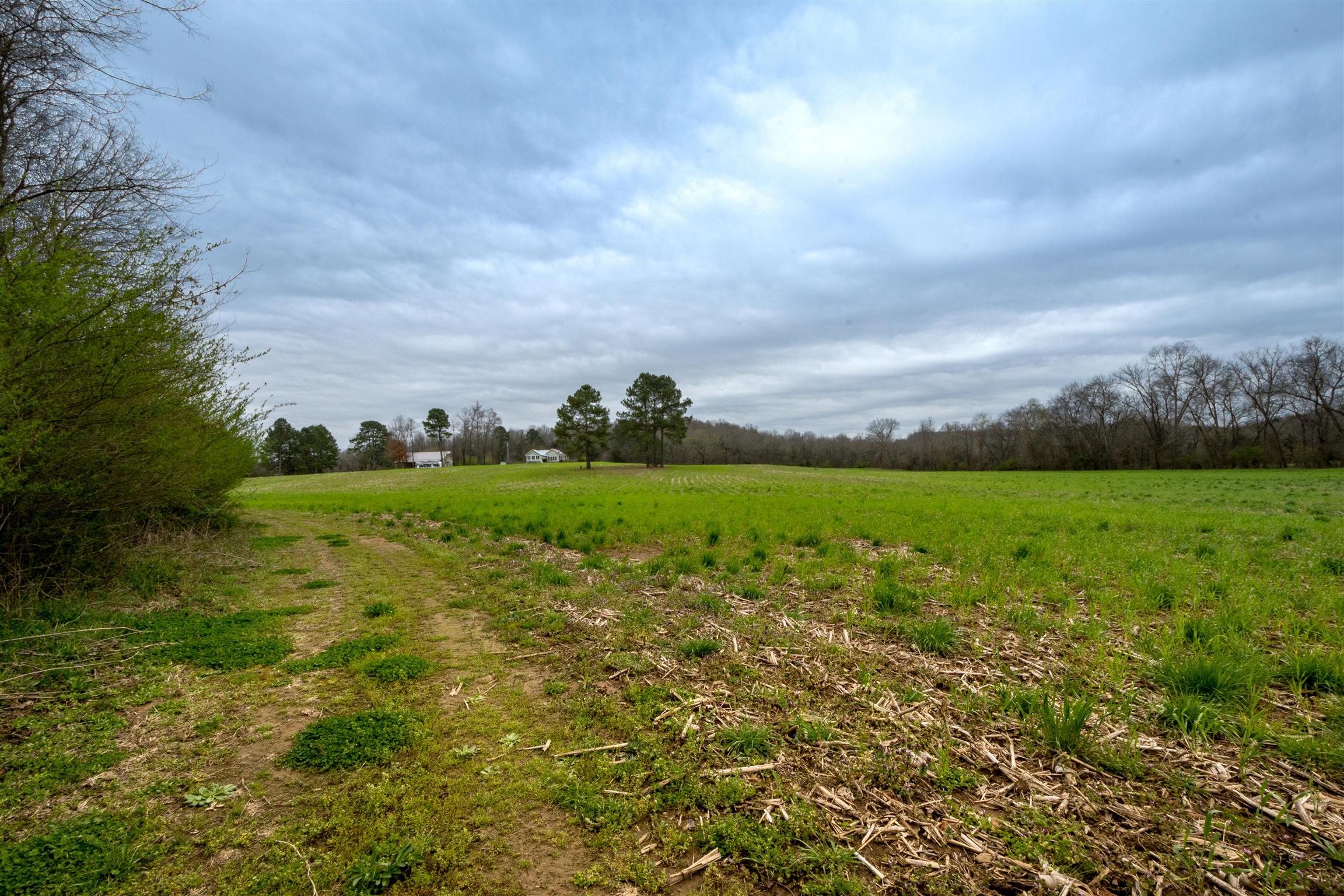 601 Vinta Mill Road West Prospect, TN 38477 - Photo 24 of 30 a view of yard with ocean view