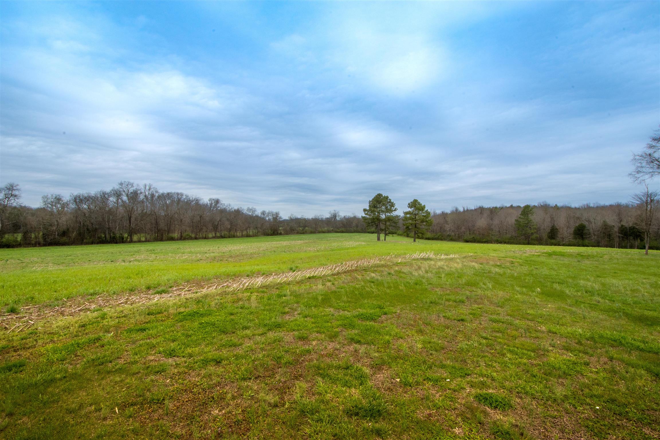 601 Vinta Mill Road West Prospect, TN 38477 - Photo 25 of 30